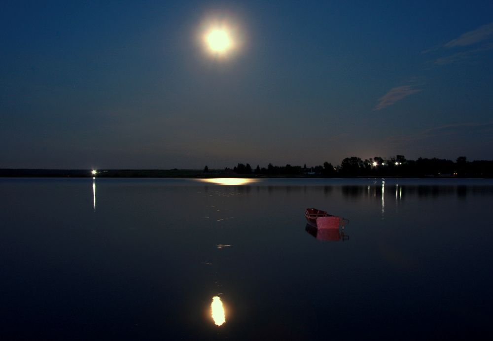 Фотография автора Nelya  Lysenko