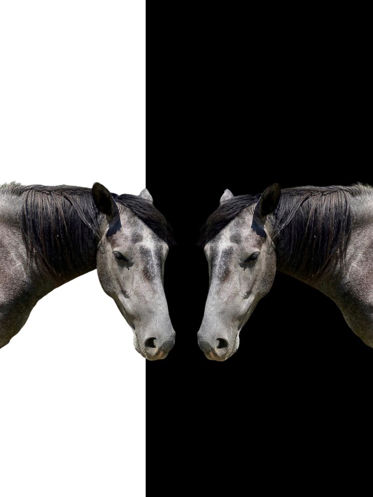 Photograph by Андрей Васильев