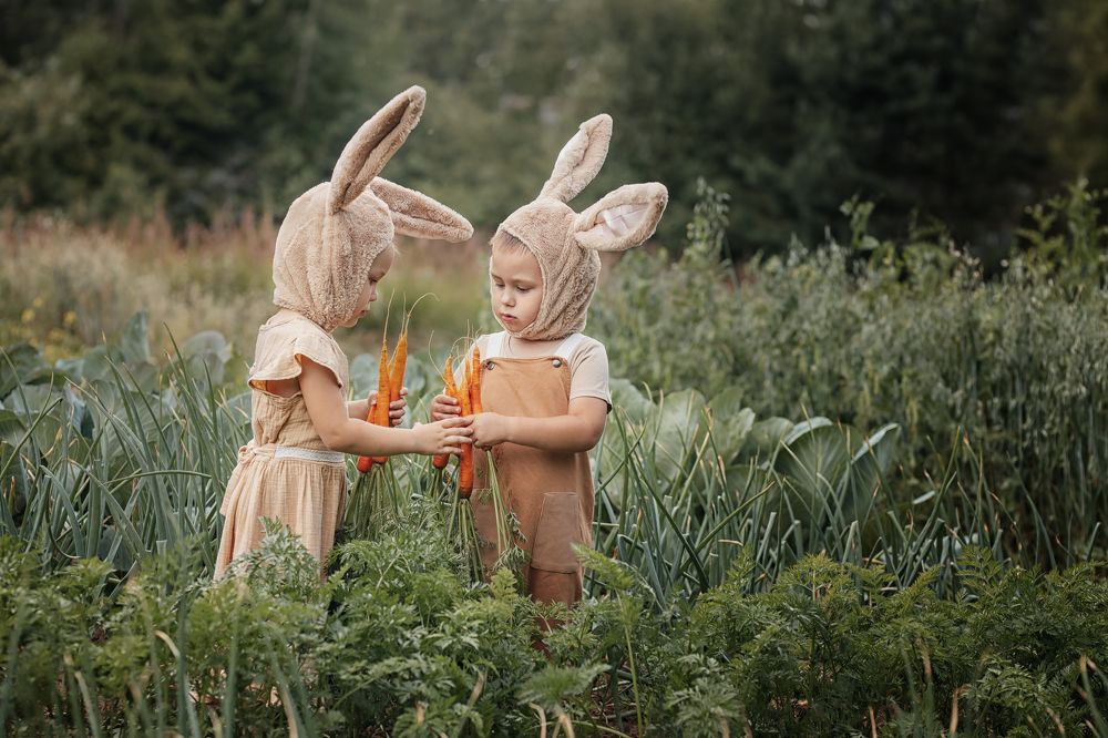 Photograph by Полотенко Екатерина