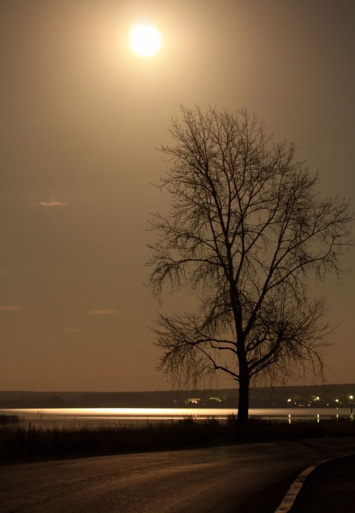 Фотография автора Nelya  Lysenko