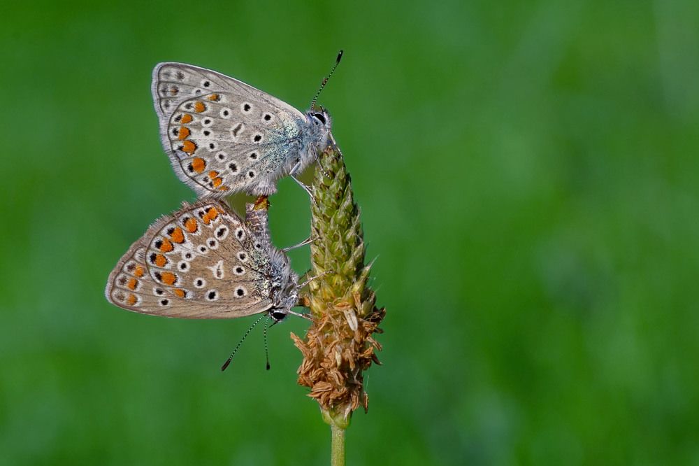 Photograph by Hasan Bayrak