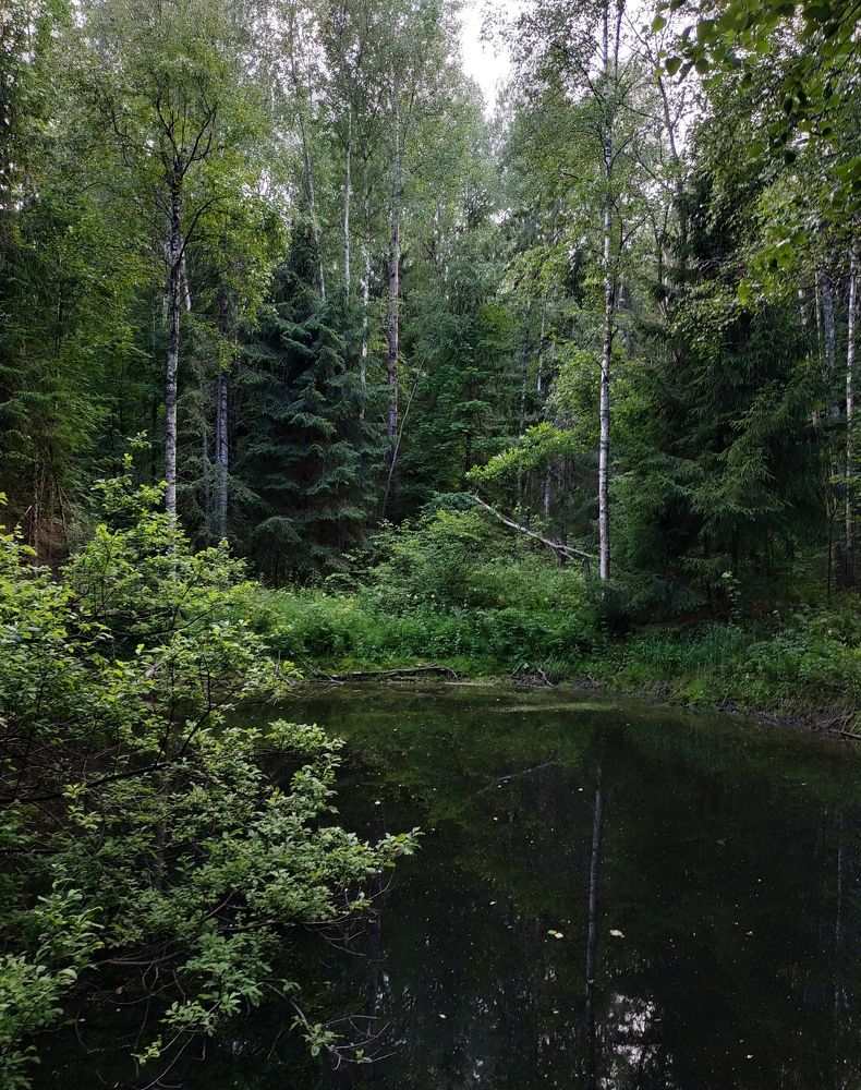 Photograph by Светлана Белозерова