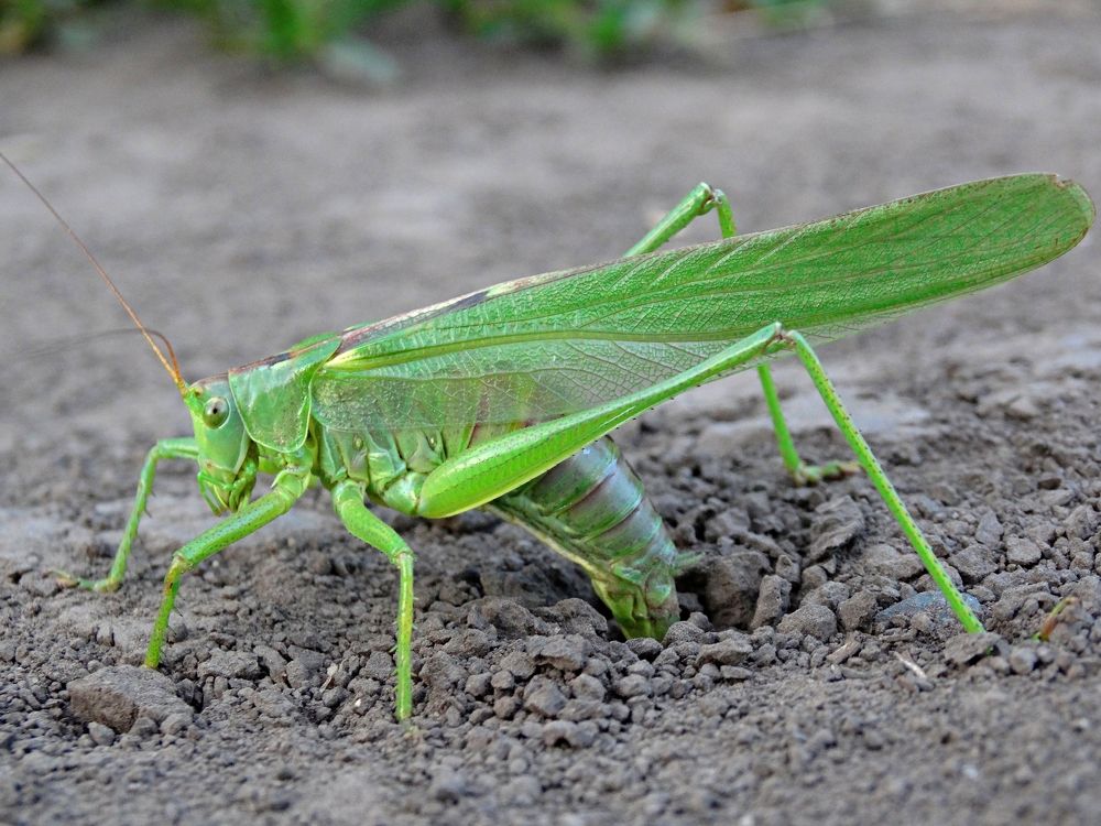 Photograph by Мария Широких