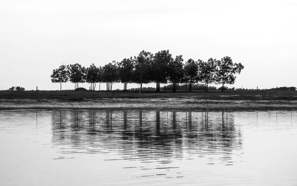 Фотография автора Lina María González Triana