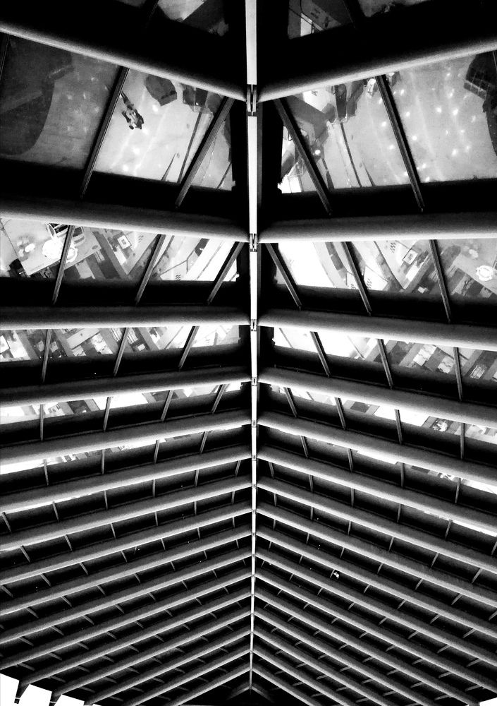 Photograph by Mohammad Al-Amr