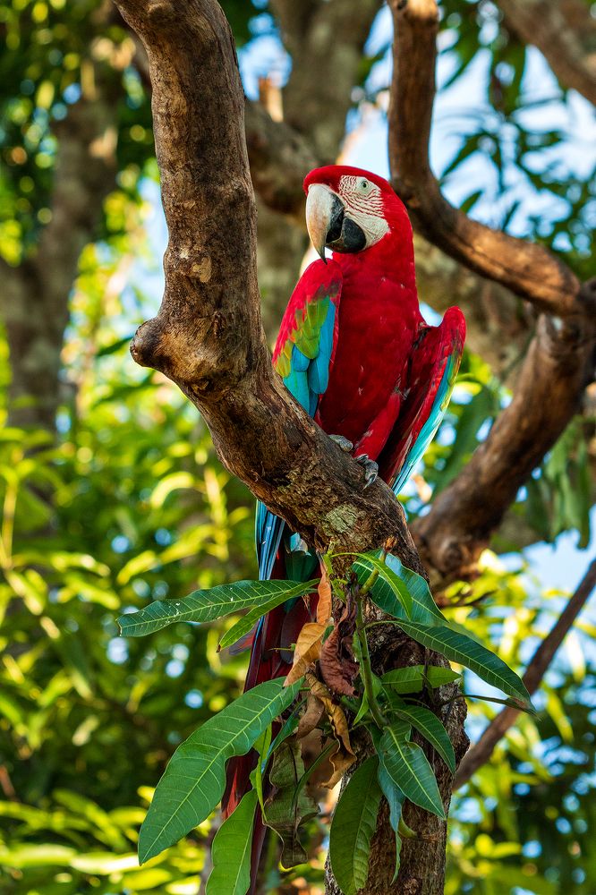 Photograph by Christofer Silva Oliveira