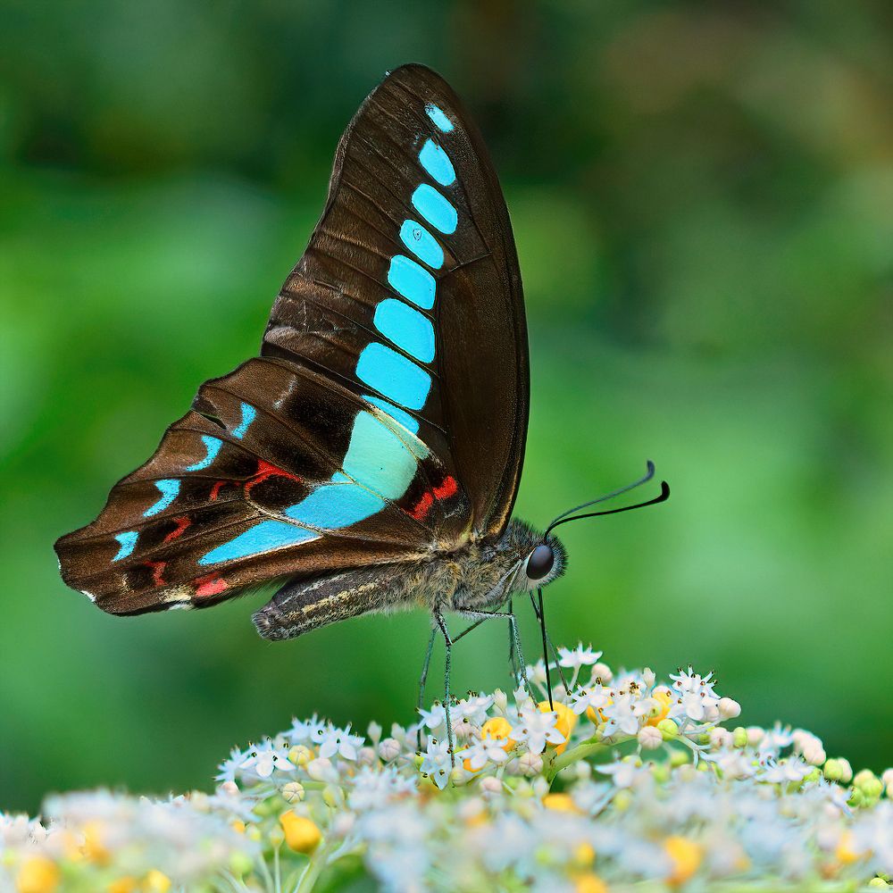 Photograph by Chen-You Li