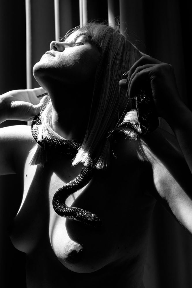 Фотография автора Mari Saxon