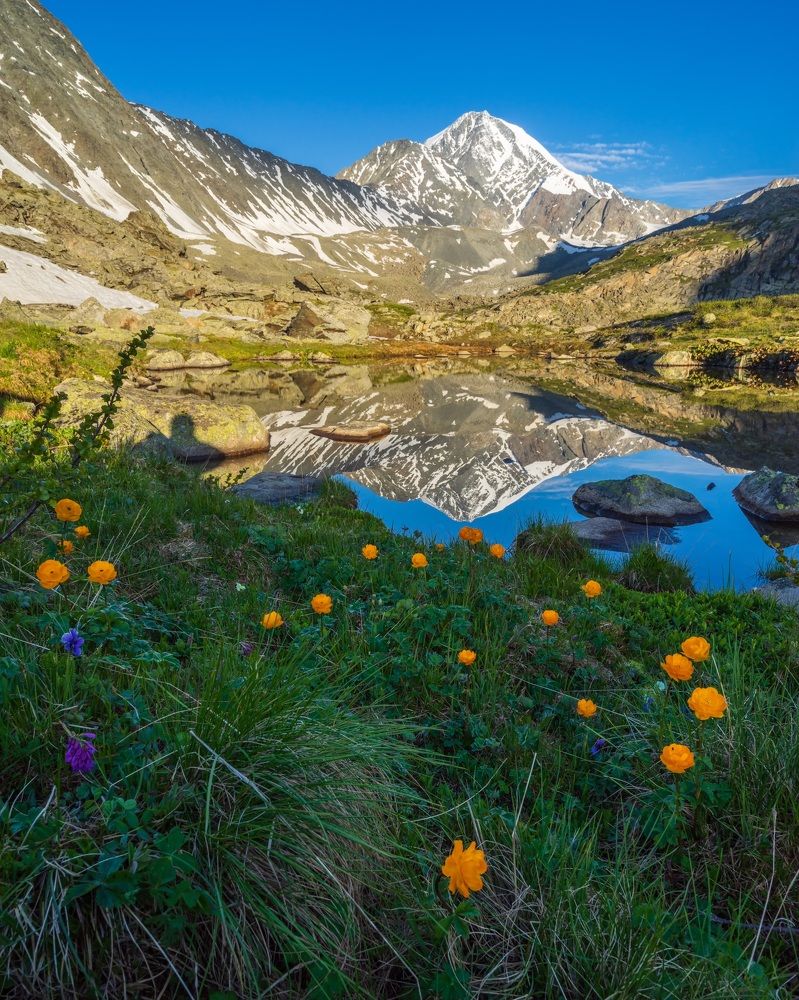 Фотография автора Oleg Matronitskiy