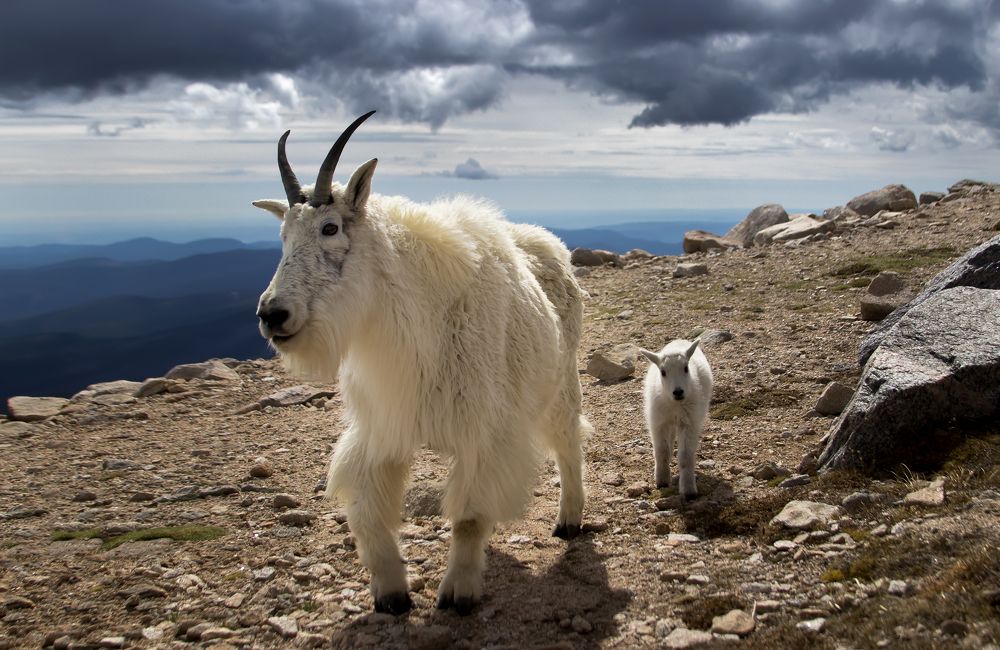 Photograph by Valentina Gatewood