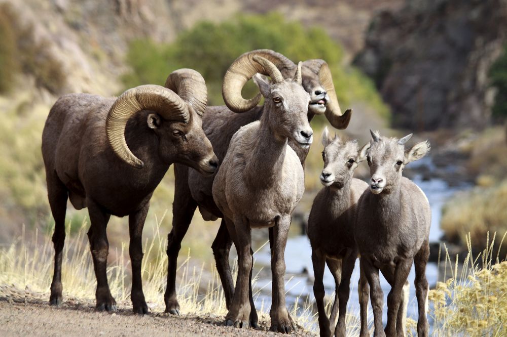 Photograph by Valentina Gatewood