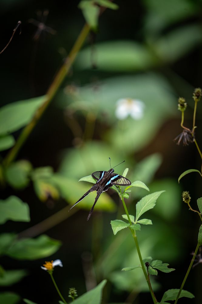 Photograph by Hoàng Nguyễn