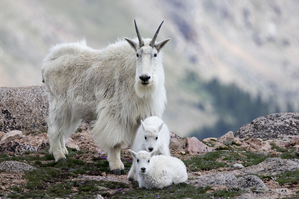 Photograph by Valentina Gatewood