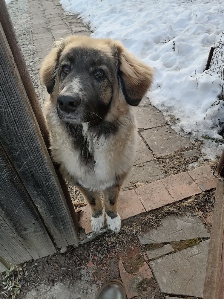 Photograph by Елена Степанкина