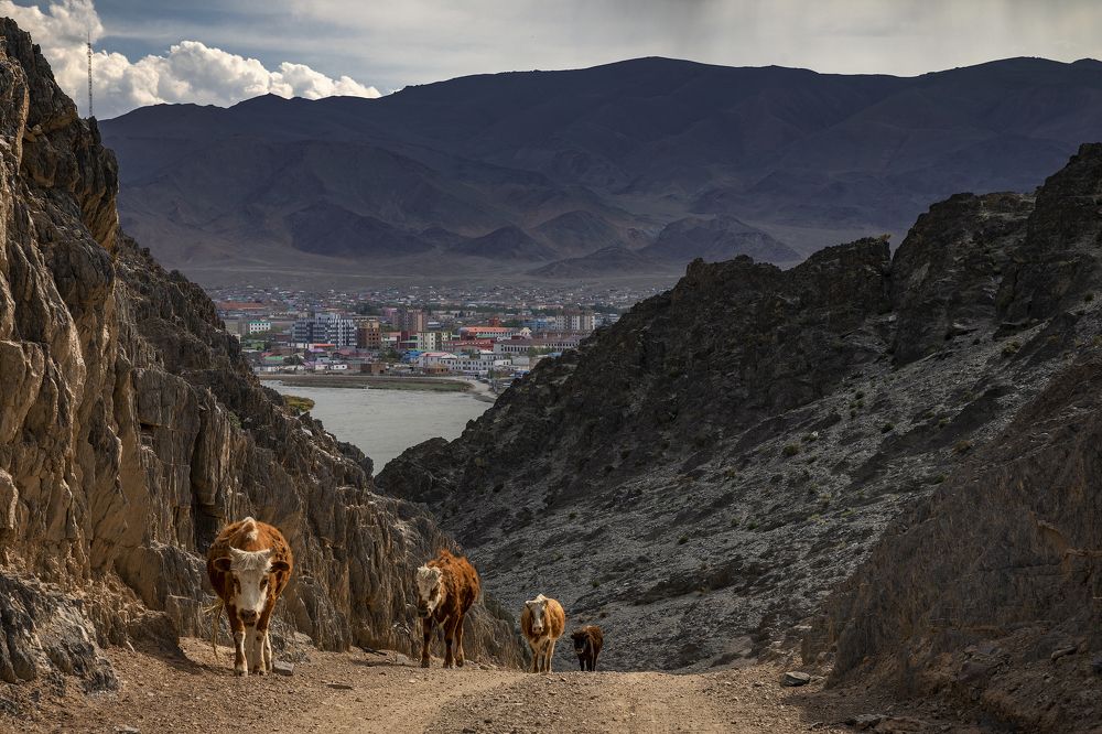 Photograph by Дмитрий Юдин