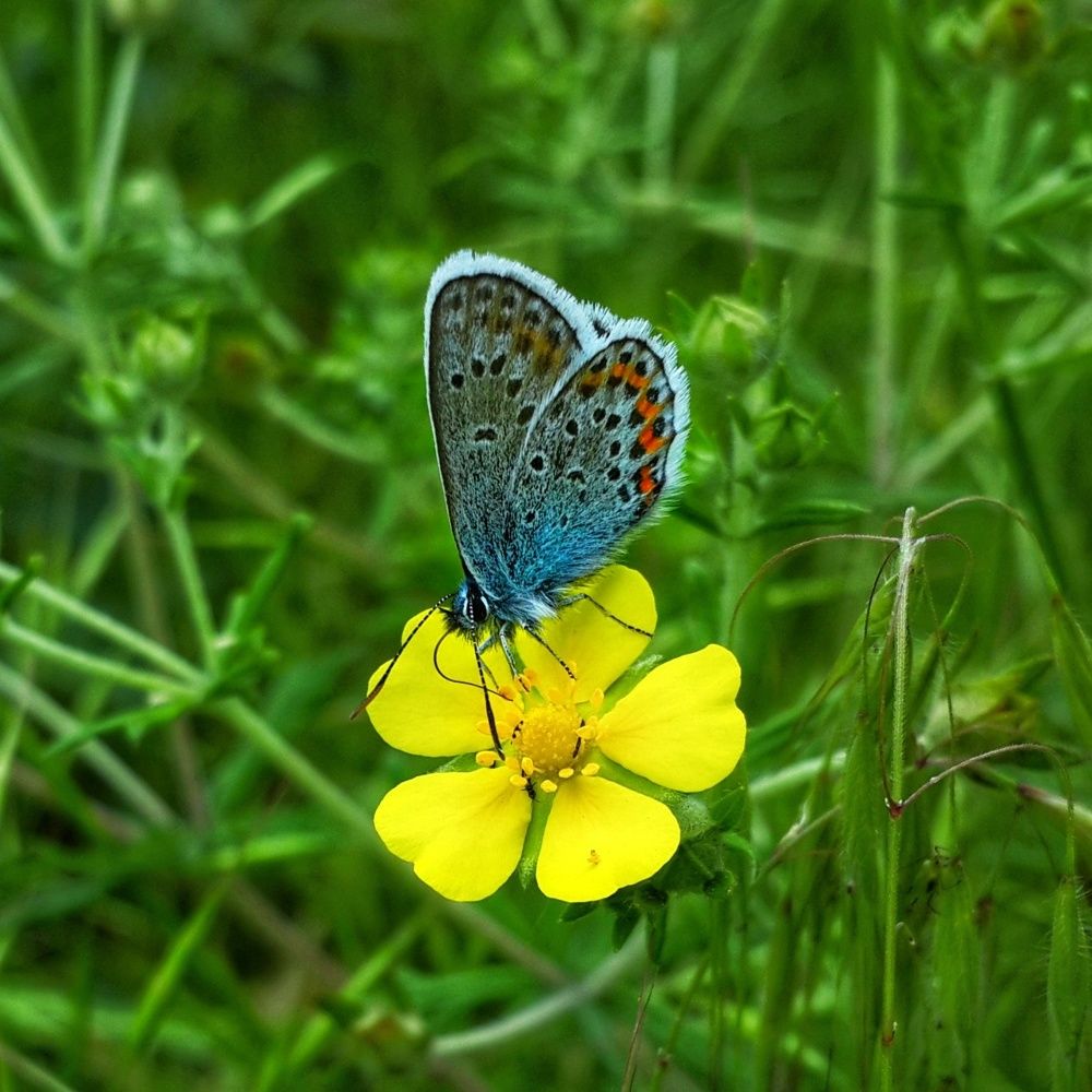 Photograph by Александра Ворона