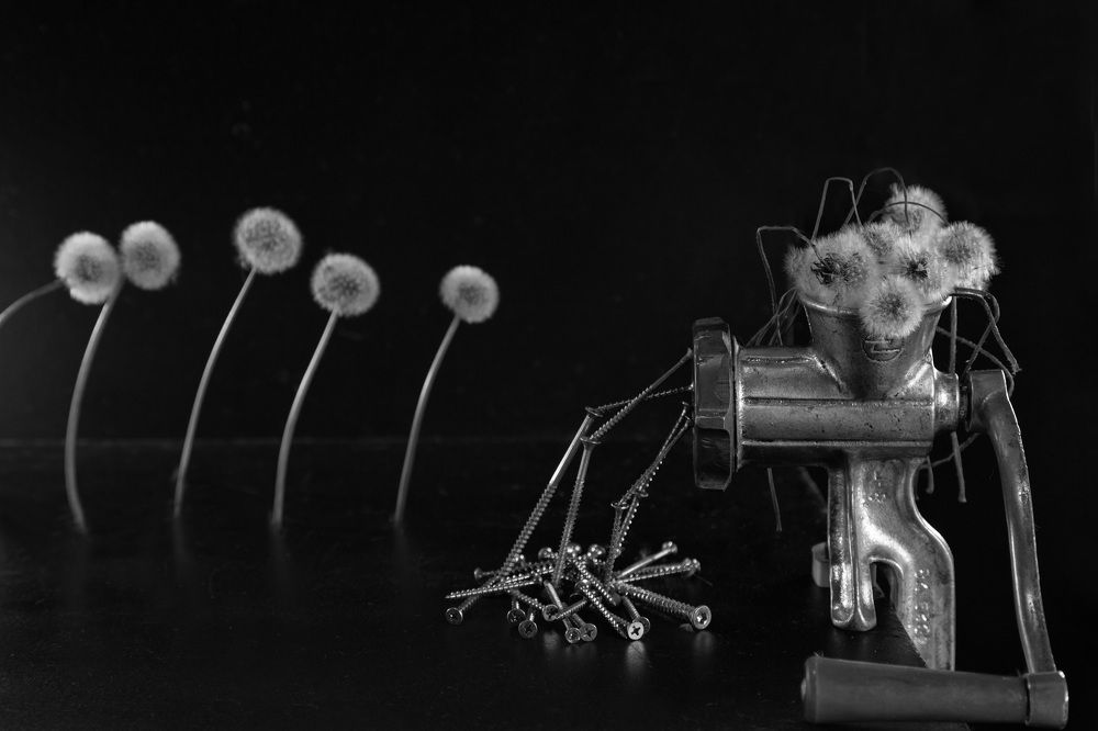 Photograph by Екатерина