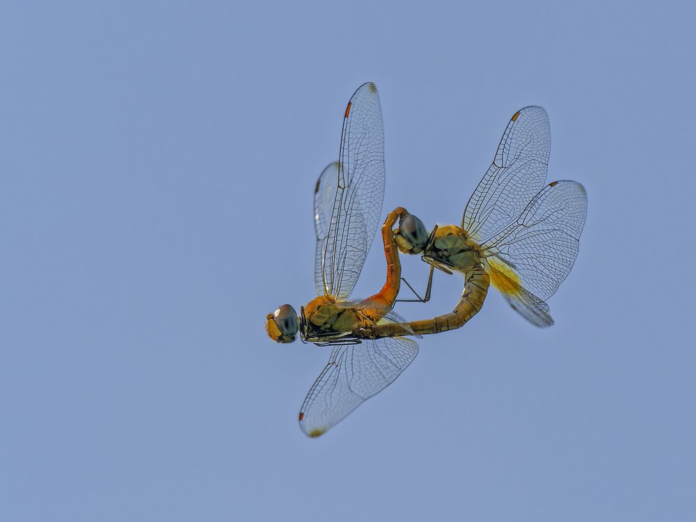 Photograph by RAJESH MAHAJAN