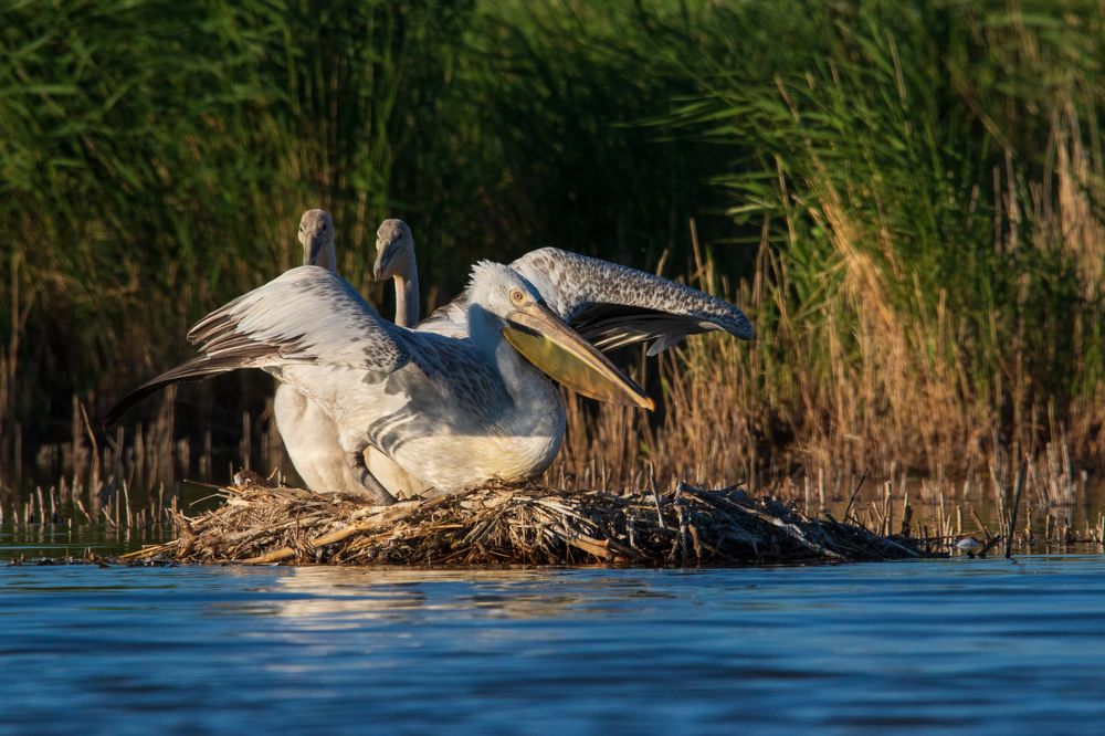 Photograph by Татьяна Нурхайдарова