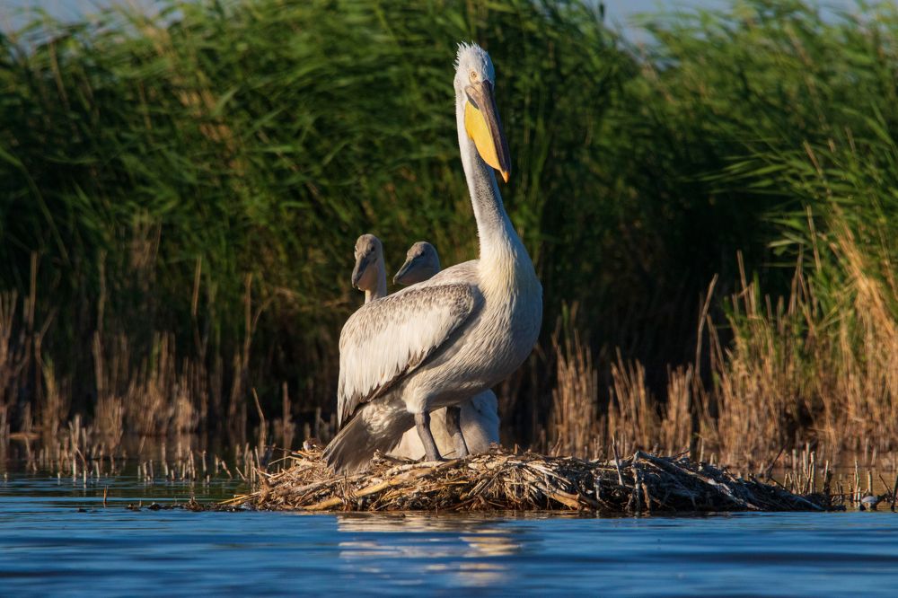 Photograph by Татьяна Нурхайдарова