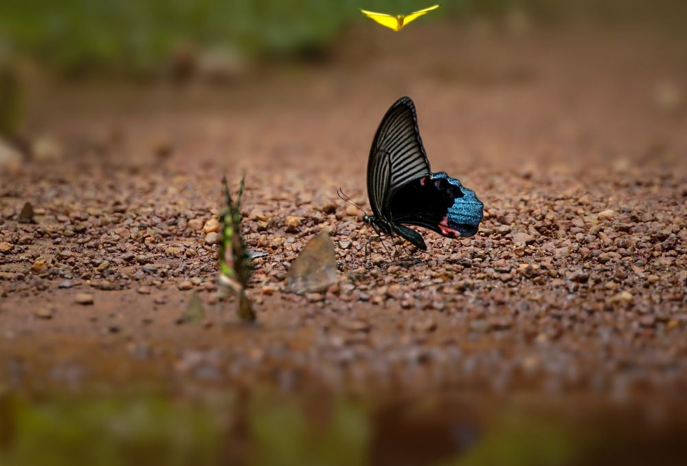Фотография автора Tran Anh Tuan