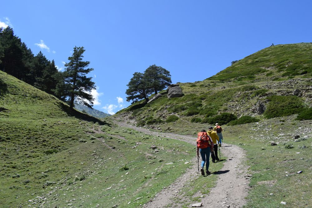 Photograph by Анастасия Гогичаишвили