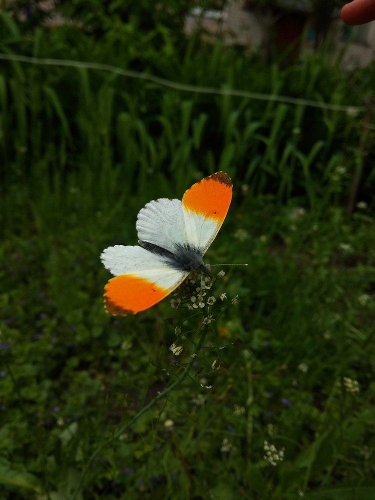 Photograph by Анастасия Кудина