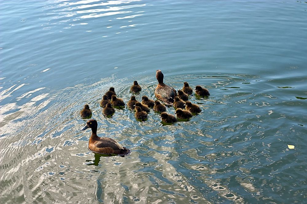 Photograph by Евгений Беленков