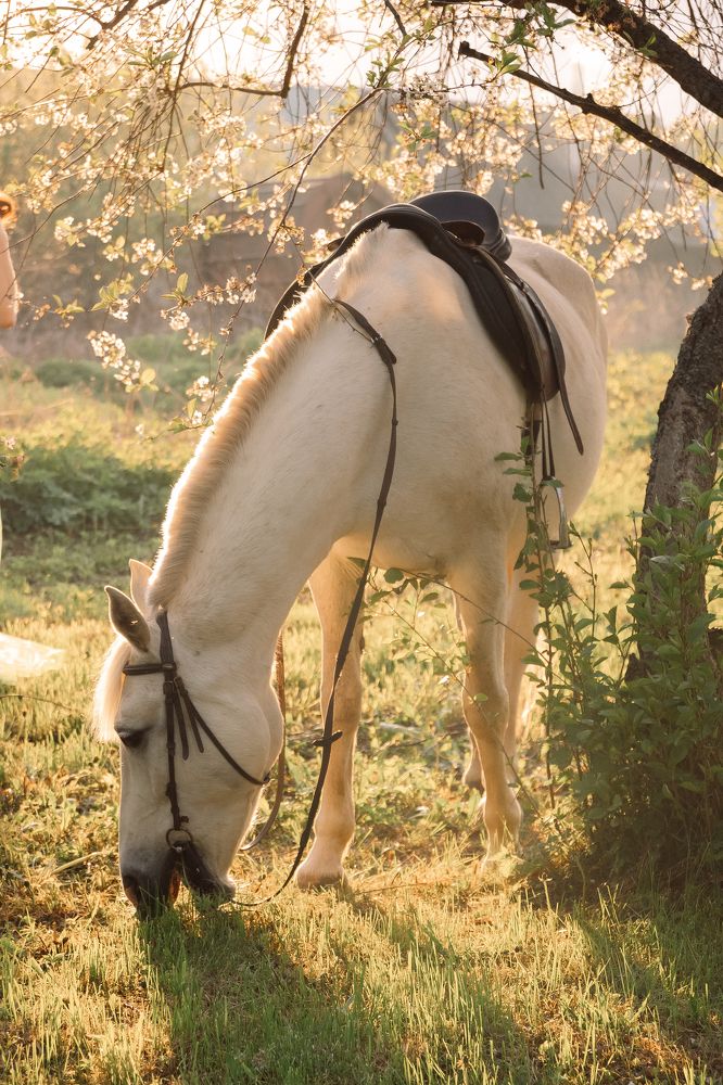 Photograph by Александра Андреевна Пугачева