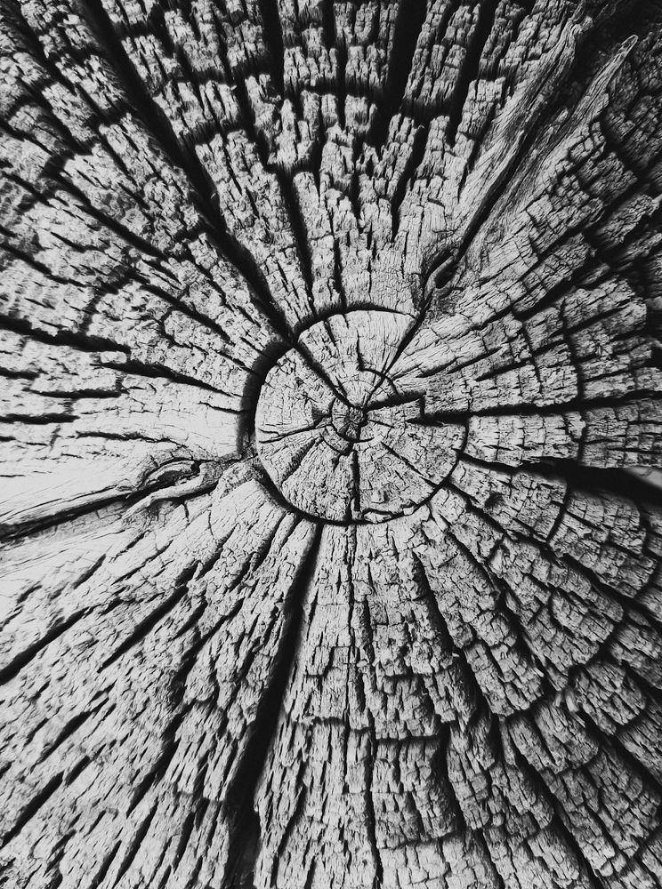 Photograph by Ригина Айдель