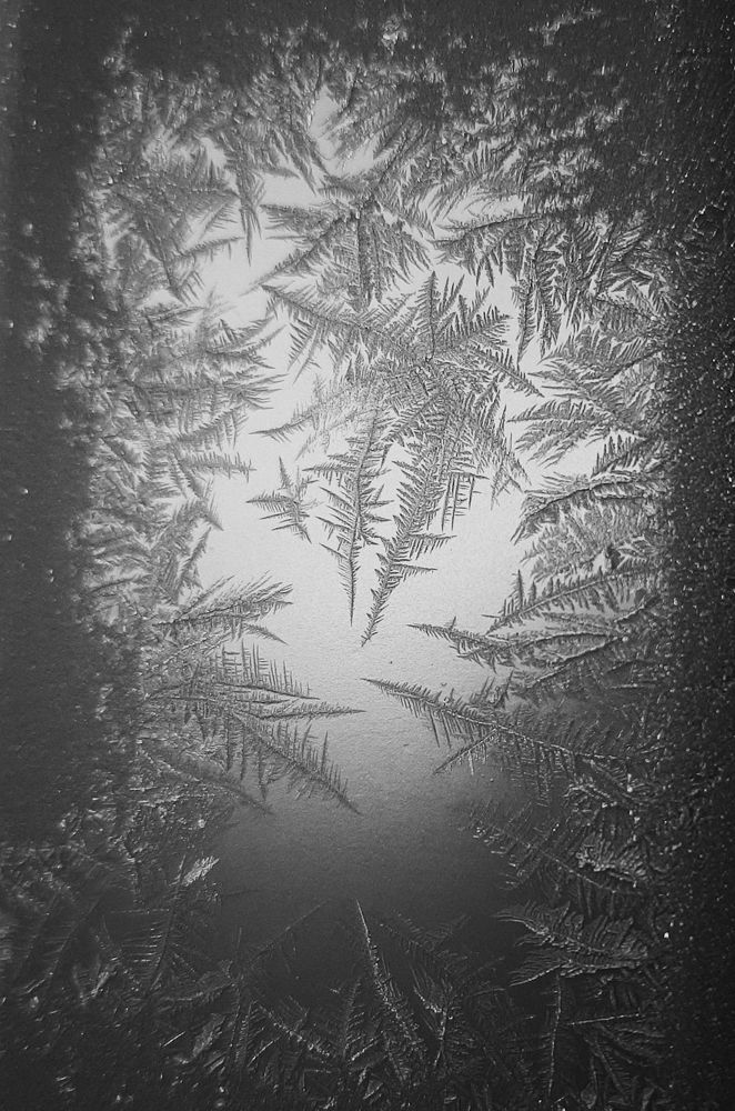 Photograph by Ригина Айдель