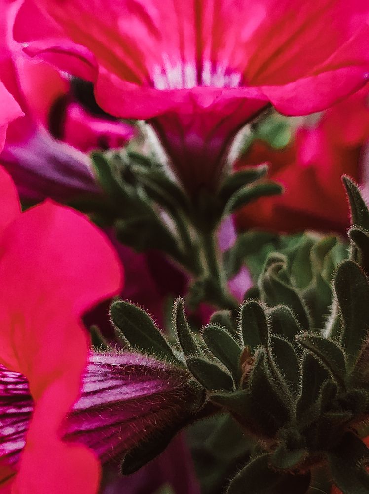 Photograph by Татьяна