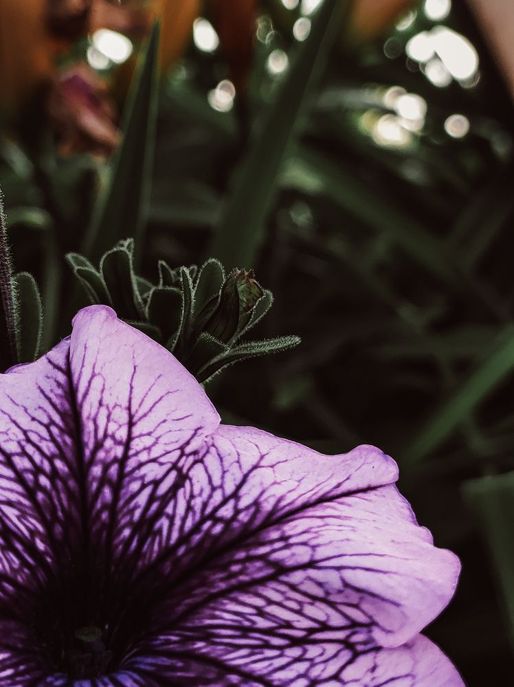 Photograph by Татьяна