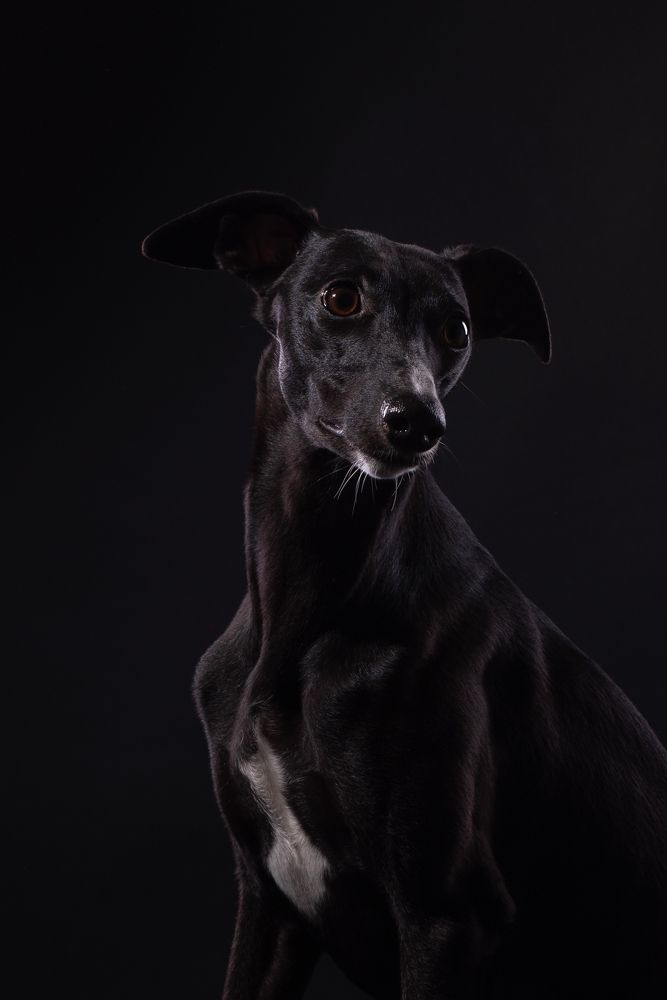 Photograph by наталья залогина