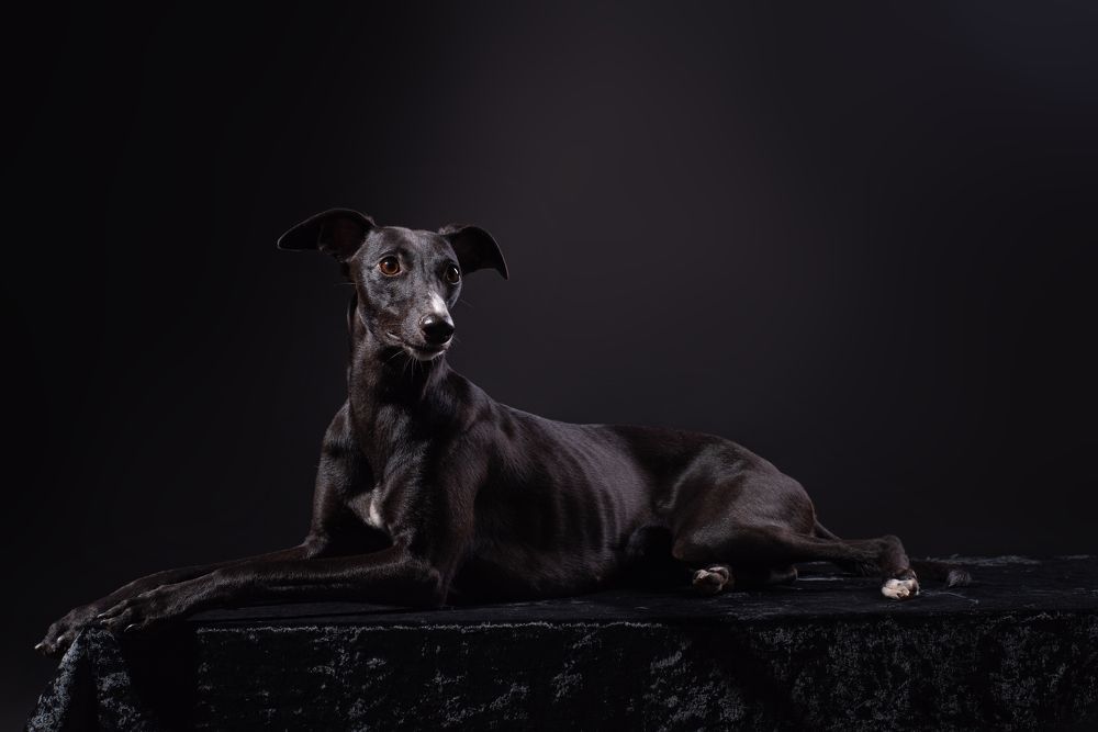 Photograph by наталья залогина