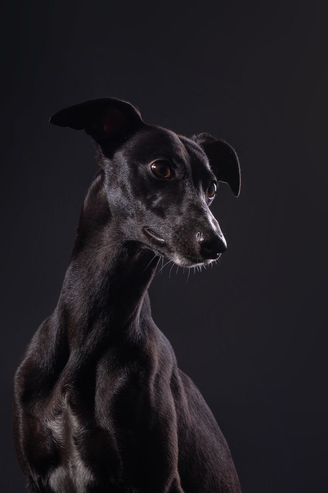 Photograph by наталья залогина