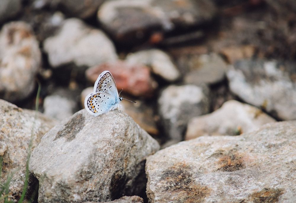 Photograph by Ригина Айдель