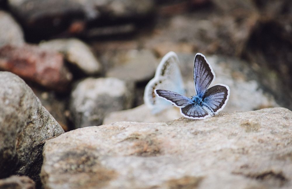 Photograph by Ригина Айдель