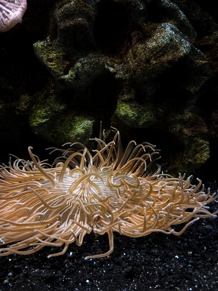 Photograph by Яна Чернега