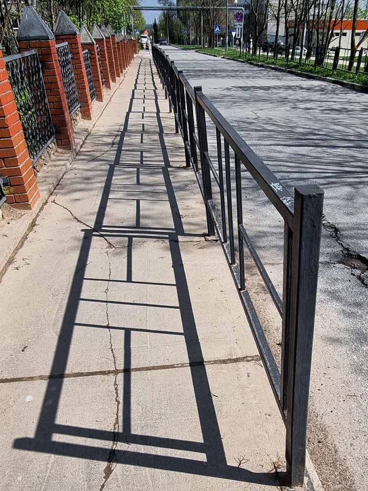 Фотография автора Светлана Алексеева