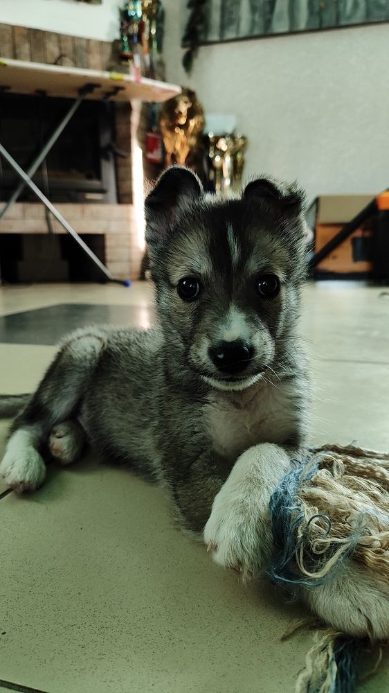 Photograph by Александр