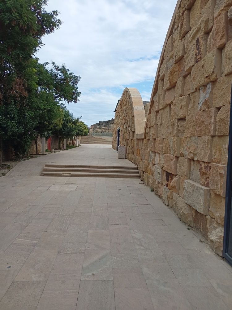 Фотография автора Татьяна Шахова