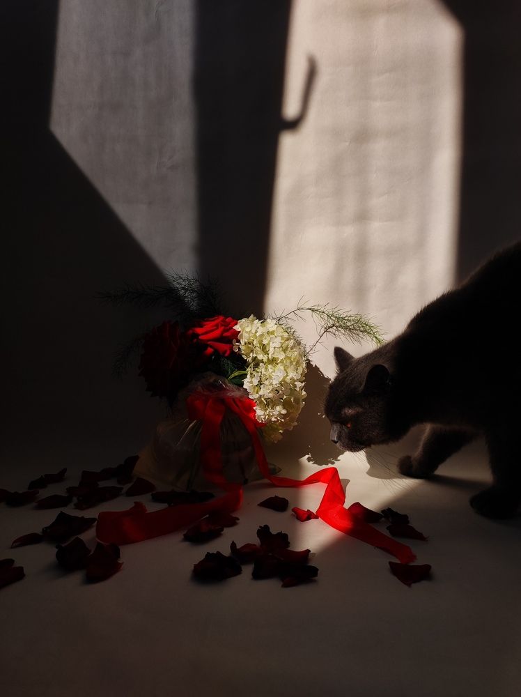 Photograph by Татьяна