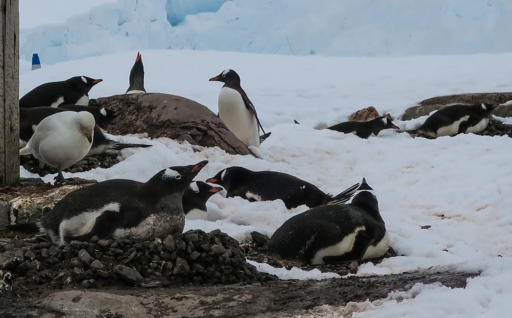 Photograph by Макс Панков