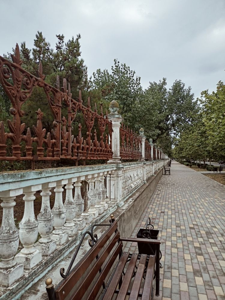 Фотография автора Татьяна Шахова