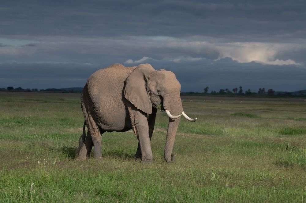 Photograph by Tania Cholwich