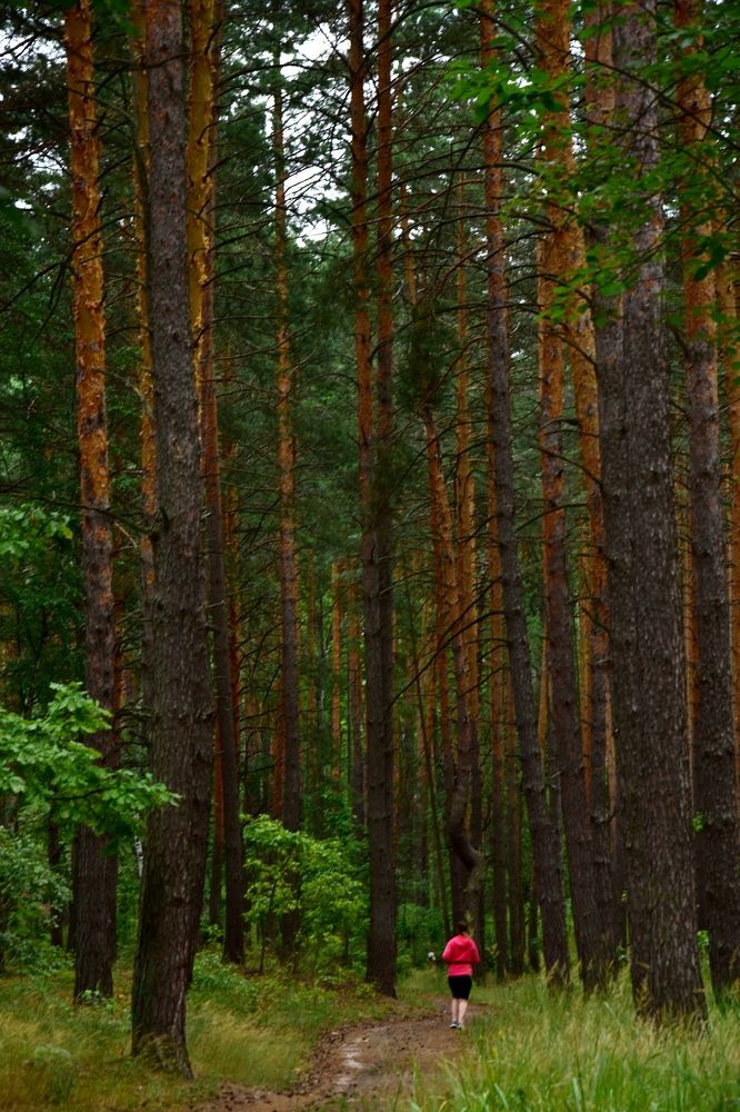 Photograph by Валерий Гудков