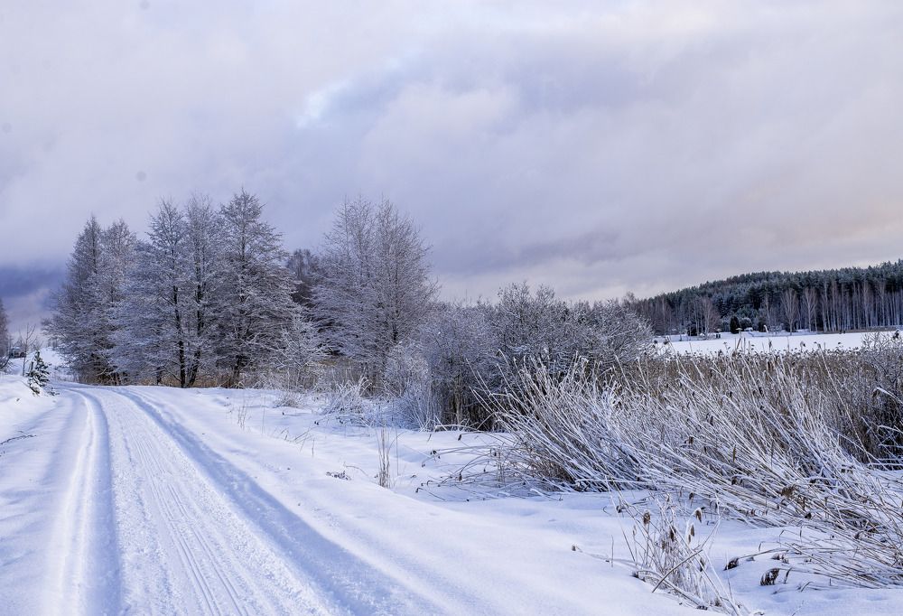 Photograph by Наталья