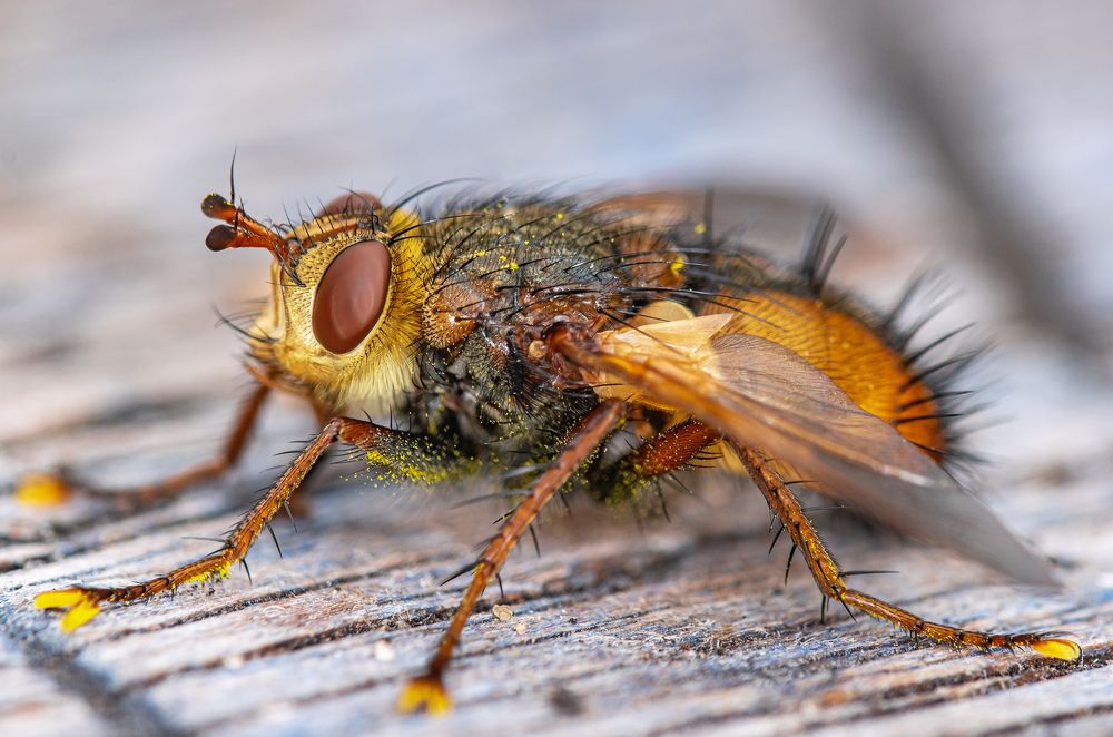 Photograph by Наталья