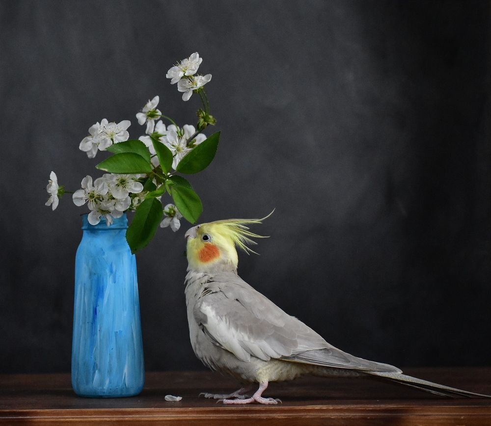 Photograph by лилия беланова